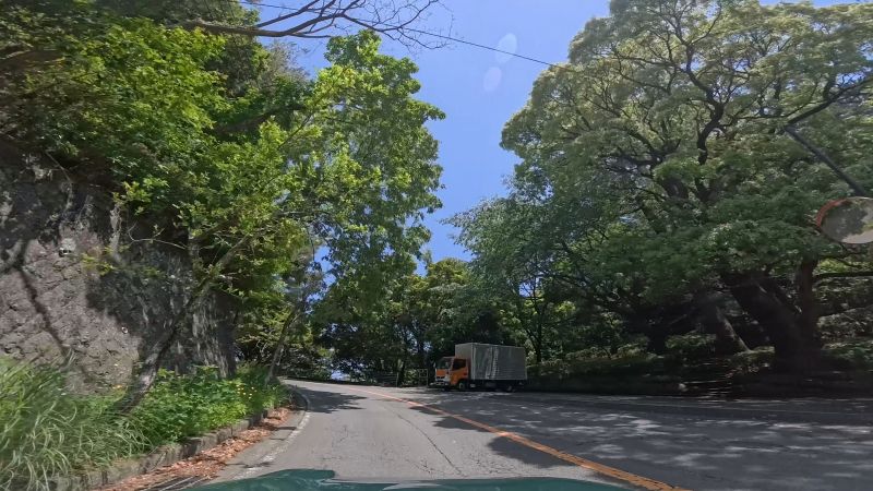 頼朝ライン